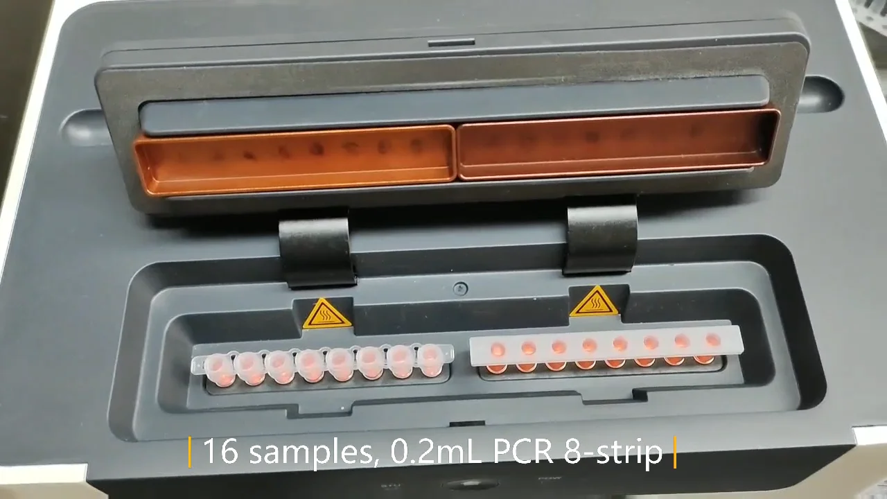 Cheap 16 samples per run qpcr real time pcr system