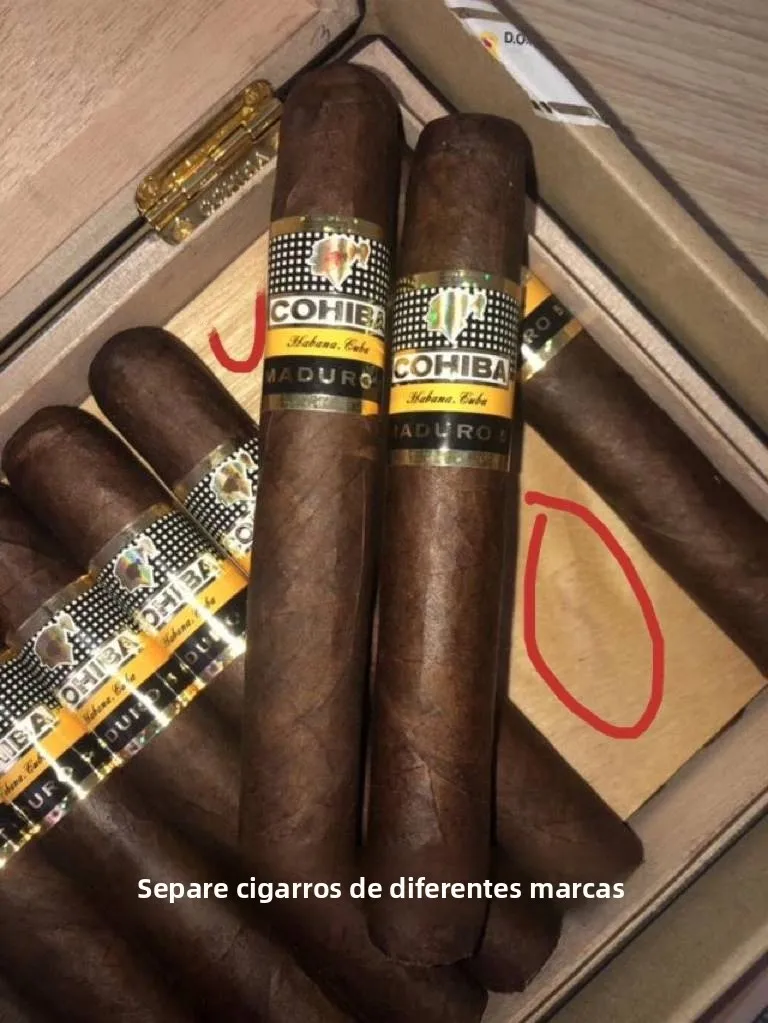 virutas-de-madera-de-cedro-curadas-para-cigarros-anti-huevos-de-ganso-extraccion-completa-de-aceite-tamano-grande-para-acc