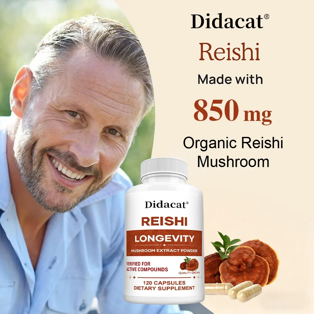 كبسولات مستخلص ريشي - تعزز الطاقة والقدرة على التحمل، وتعزز الذاكرة والتركيز، وتحسين النوم وتخفيف التوتر #4