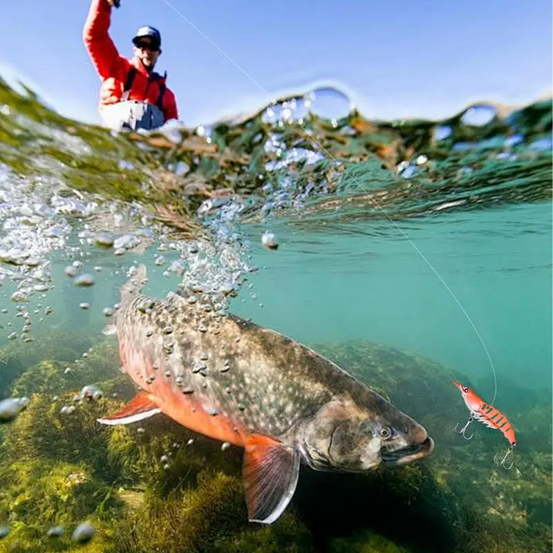 

Fishing Lures Set Simulation Freshwater Fishing Lures 5x Colorful Angling Bobs Slow Sinking Swimming Lures For Outdoor Fishing