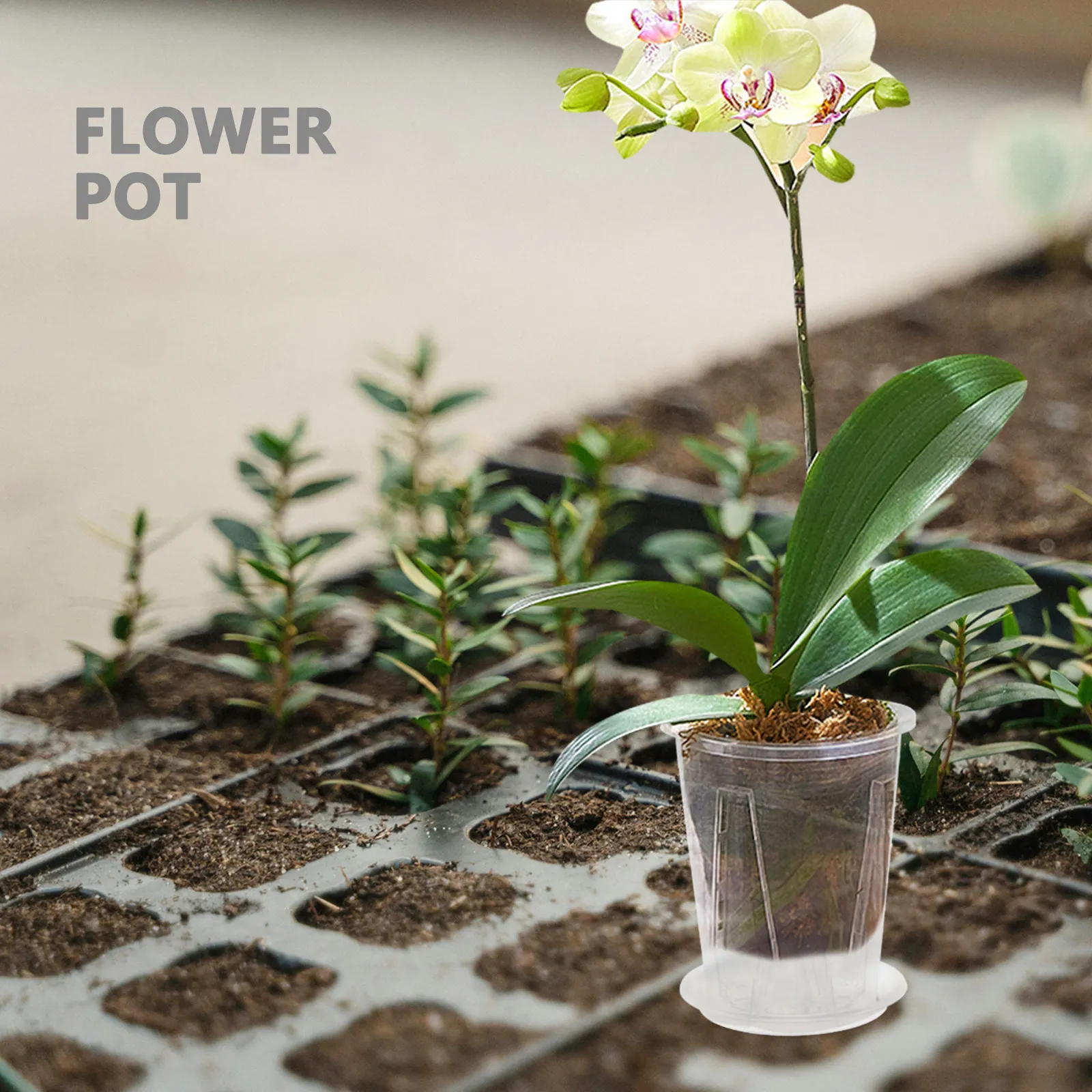 4Sets Transparent Breathable Orchid Pots with Integrated Saucer Drainage Holes Air Column Design for Phalaenopsis Root