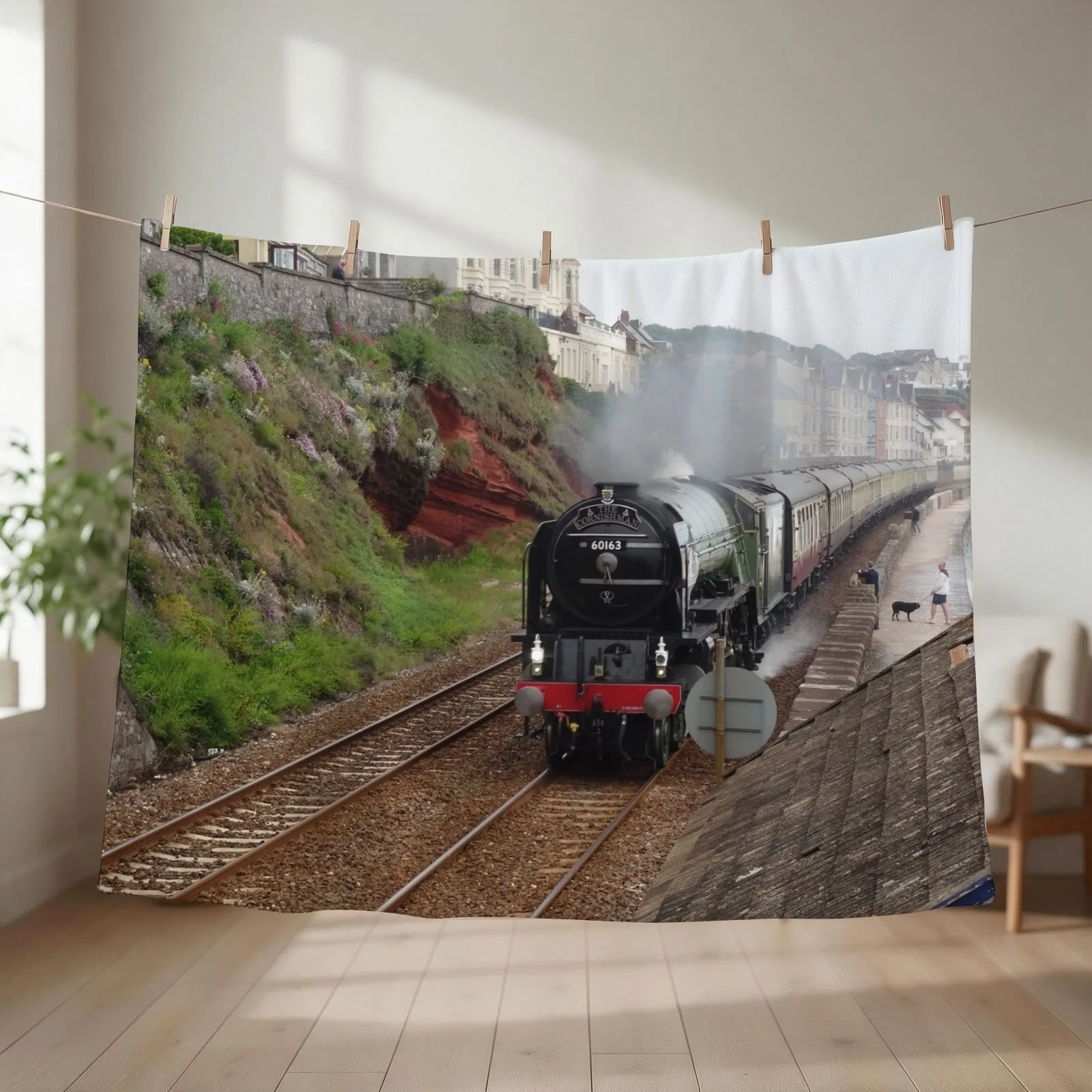 British Railways 60163 Tornado at Dawlish Throw Blanket couch cozy soft plush fuzzy picnic outdoor blanket