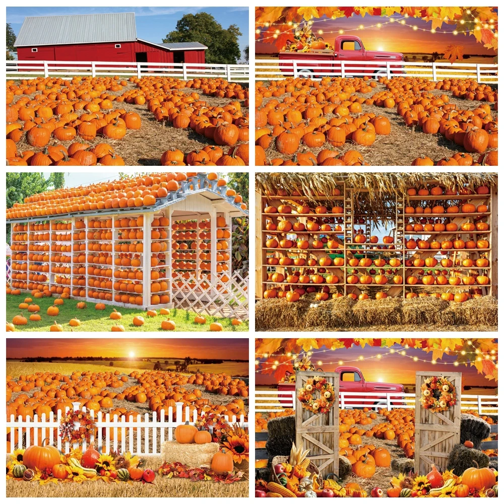 

Autumn Backdrop Pumpkin Harvest Thanksgiving Hay Maple Leaves Background Baby Shower Birthday Party Decor Photography Studio