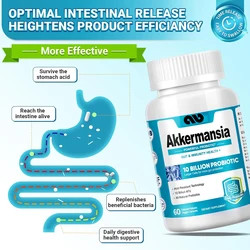 Akkermansia Muciniphila Probiotics High - Probiotics that promote digestive and immune health -10 billion AFU+organic prebiotics