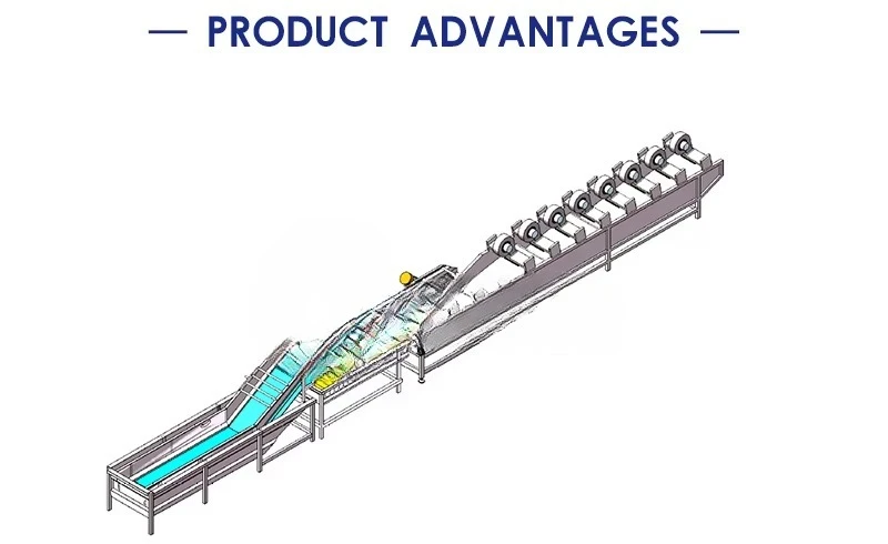 Cassava Potato Peeling Machine Fruit Polishing Machine Carrot Yam Fruit Peeling Machine Peeler and Washer