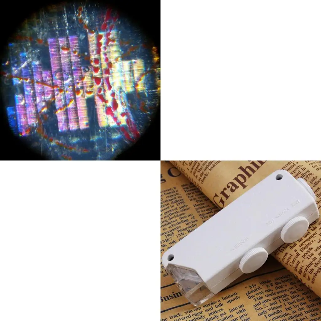 

H58C LED Microscope LED Lighted Pocket Microscope Magnifier for Natural Observation