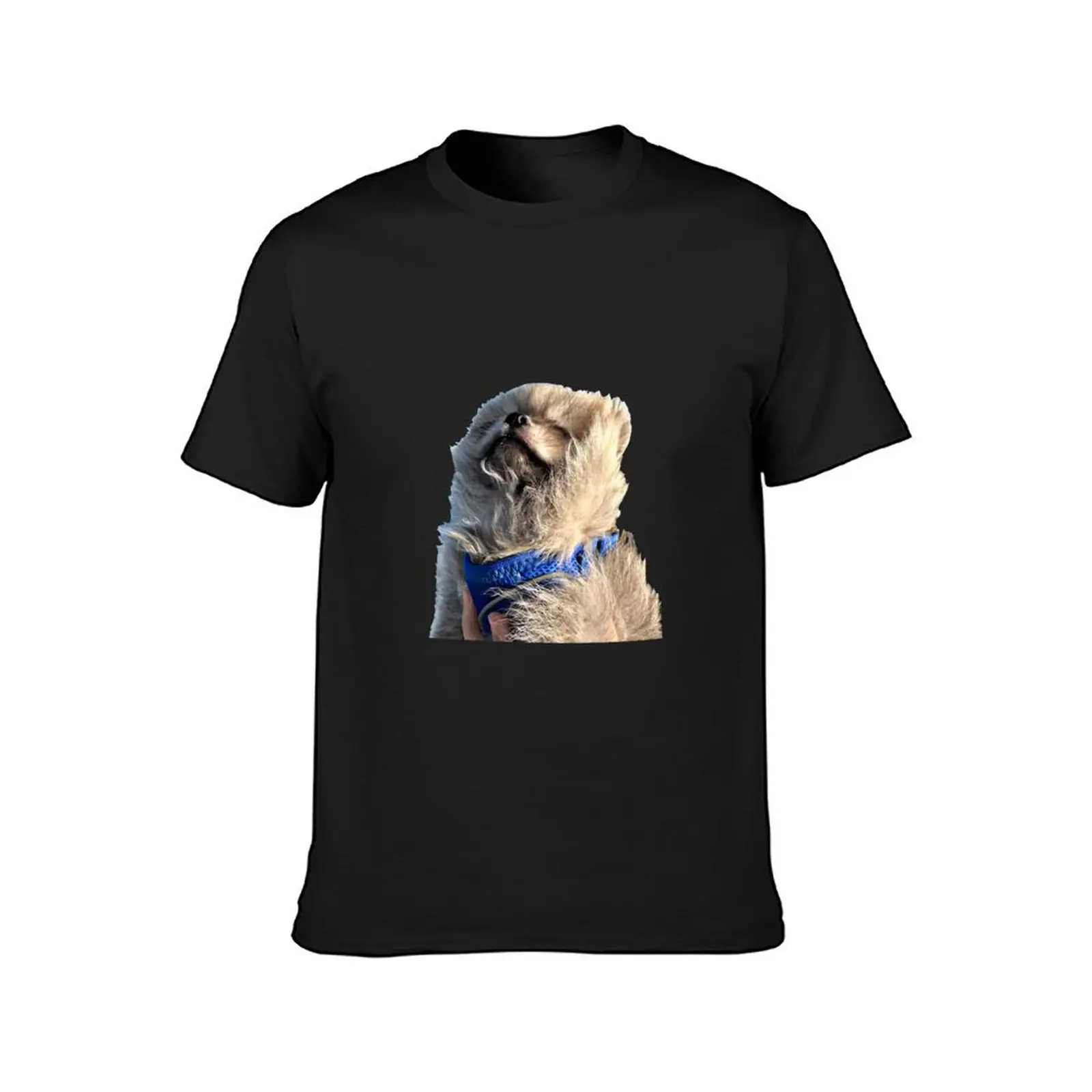 Pomeranian Fabio Moment in Blue T-Shirt oversizeds Aesthetic clothing blacks for a boy mens t shirts pack