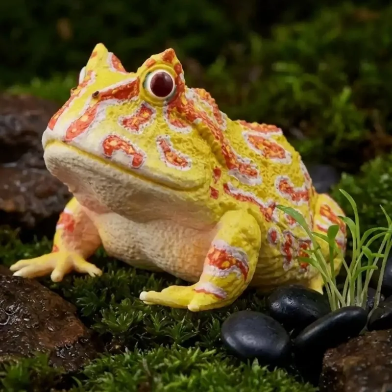Mini Figurine, Colorful Amphibian Reptile Figure, Kids Science Cognition Toy Hobby Collection Diorama Accessory
