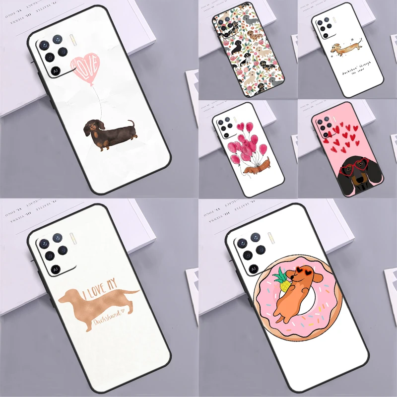 Cute Dachshund Dog …