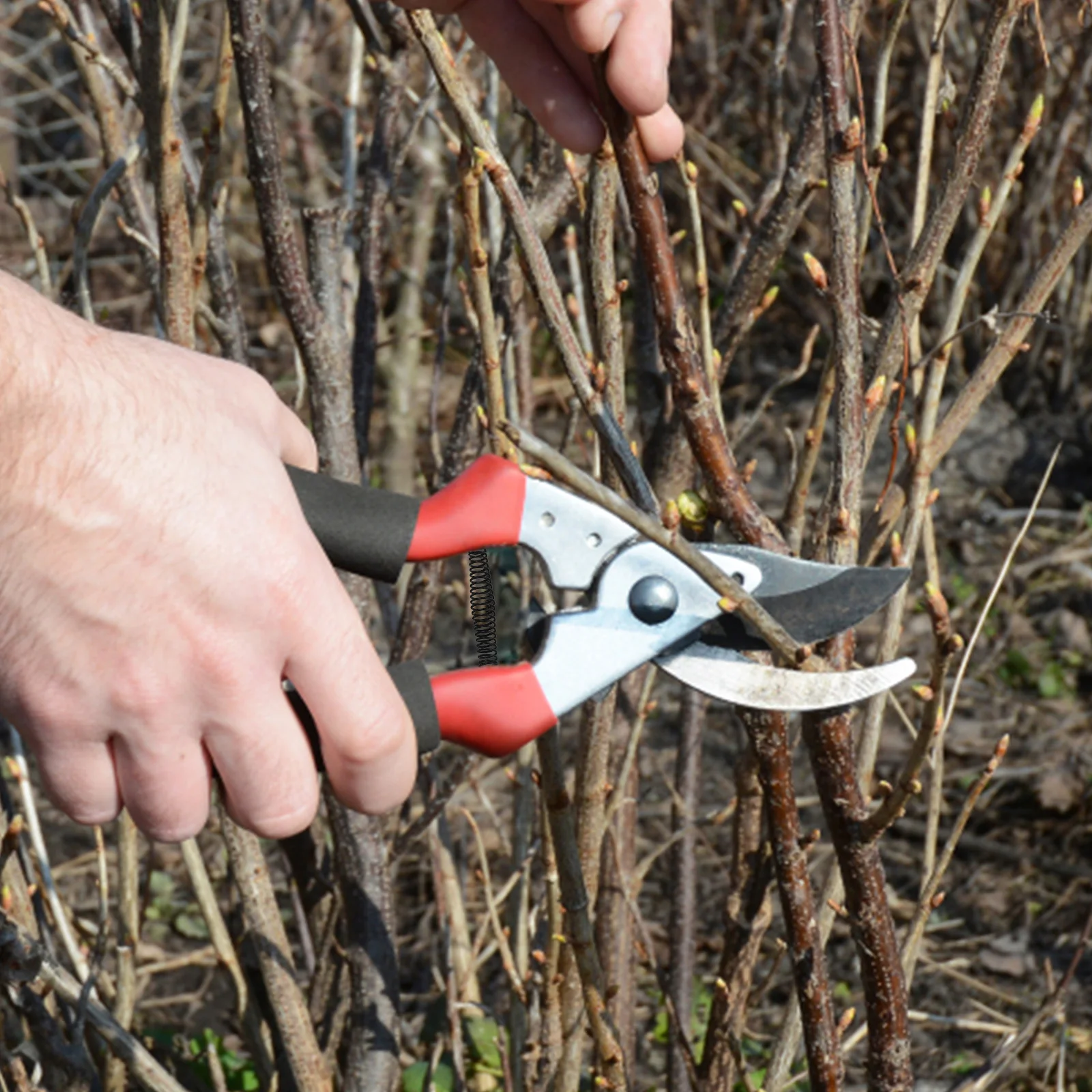 

10Pcs Pruner Replacement Spring Stronger Thicker Steel Pruning Shears Parts Small Springs Trimming Tool Spring