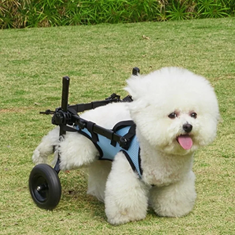 調節可能な犬用車椅子-快適で通気性のあるペット用車椅子カート-後肢サポート-リハビリテーション歩行補助具