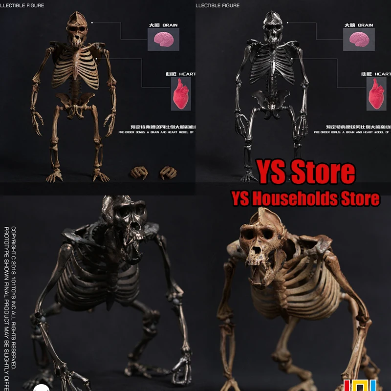 

101TOYS PALM ELF SERIES ES003 1/12 Модель-скелет шимпанзе, аксессуар для сцены, 6-дюймовая фигурка с черепом, украшение для дома