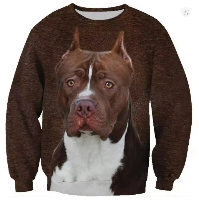 Cat Dog House 3D Print Hoodie Men Kids Oversized Long Sleeved Sweatshirt Sportswear Spring Autumn Fashion Round Neck Pullovers