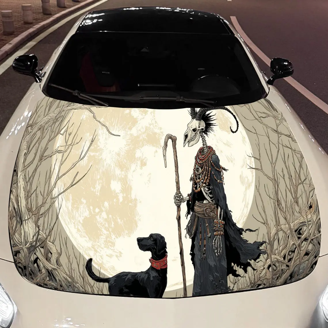 Category image: Schisandra