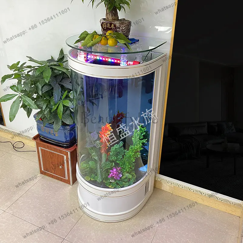 Fish tank living room next to home TV cabinet 2024 new small floor-to-ceiling water-free glass aquarium