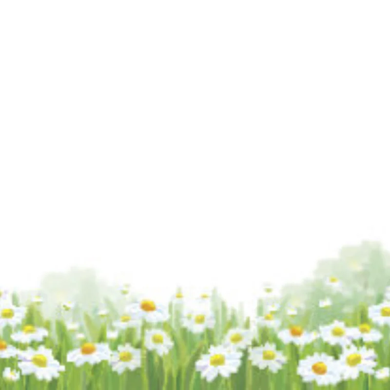 

RC Car Stainless Steel Head Wheel Kit For ARRMA 1/18 Granite Grom 1/18 Typhon Grom RC Car Upgrade Accessories