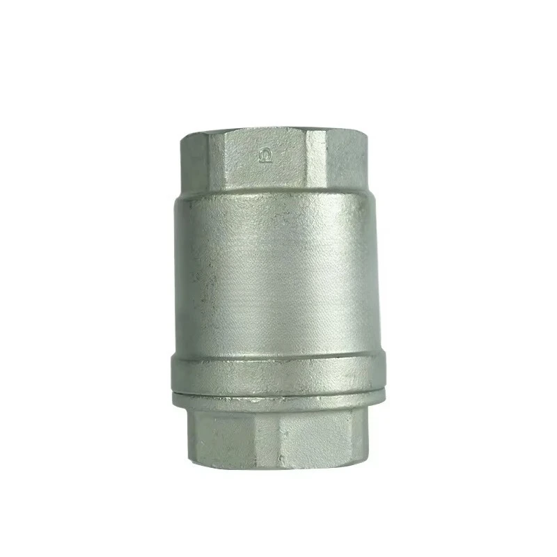 

1000 psi Stainless Steel Spring Loaded Check Valve Manual Ball for Oil Water Gas Control of Manual Butterfly/Gate