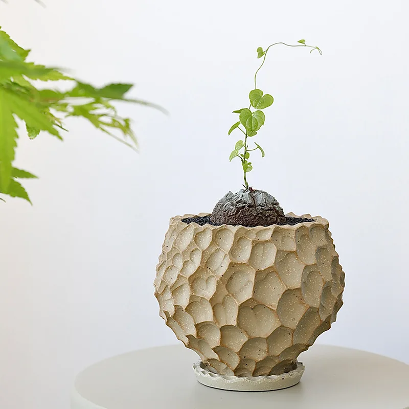 Japanese-style Chinese-made ceramic stone pot tray is breathable, corrosion-resistant and not easy to deform, suitable