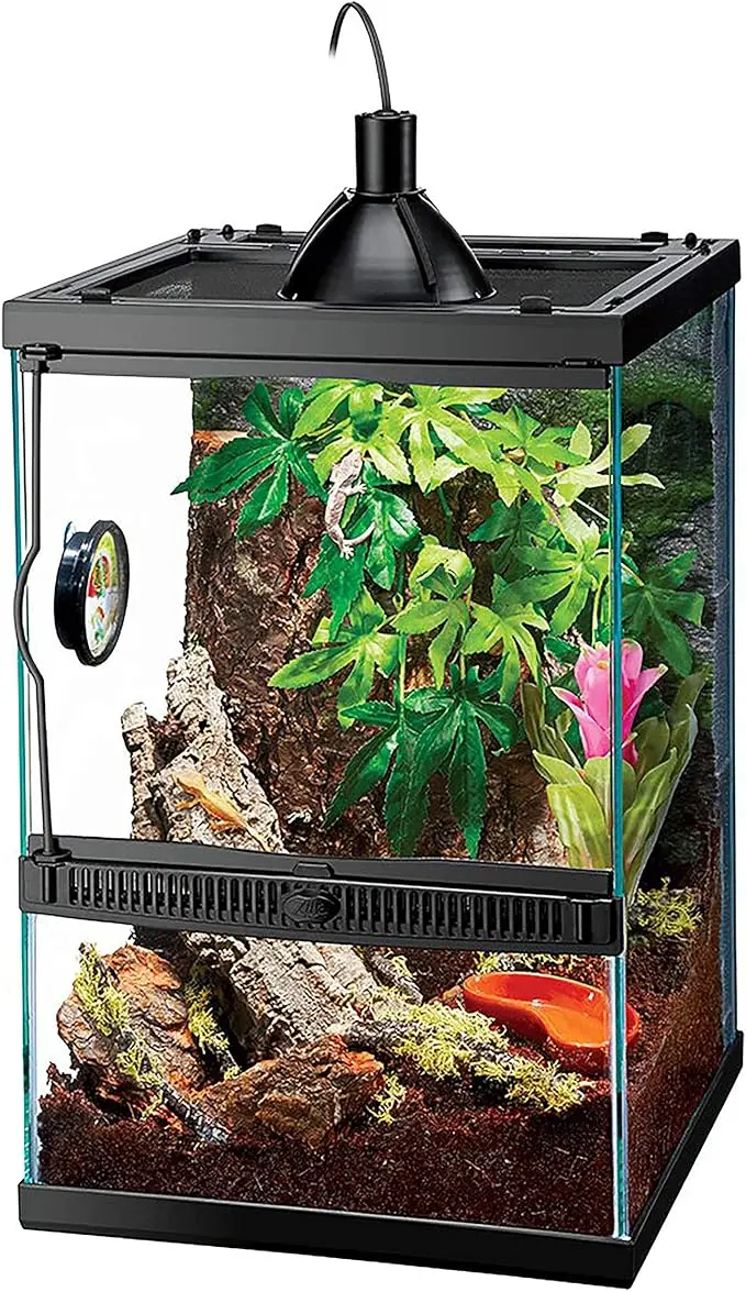 Tropical Vertical Habitat Starter Kit for Small Tree Dwelling Reptiles & Amphibians Like Geckos and Frogs 11 GAL