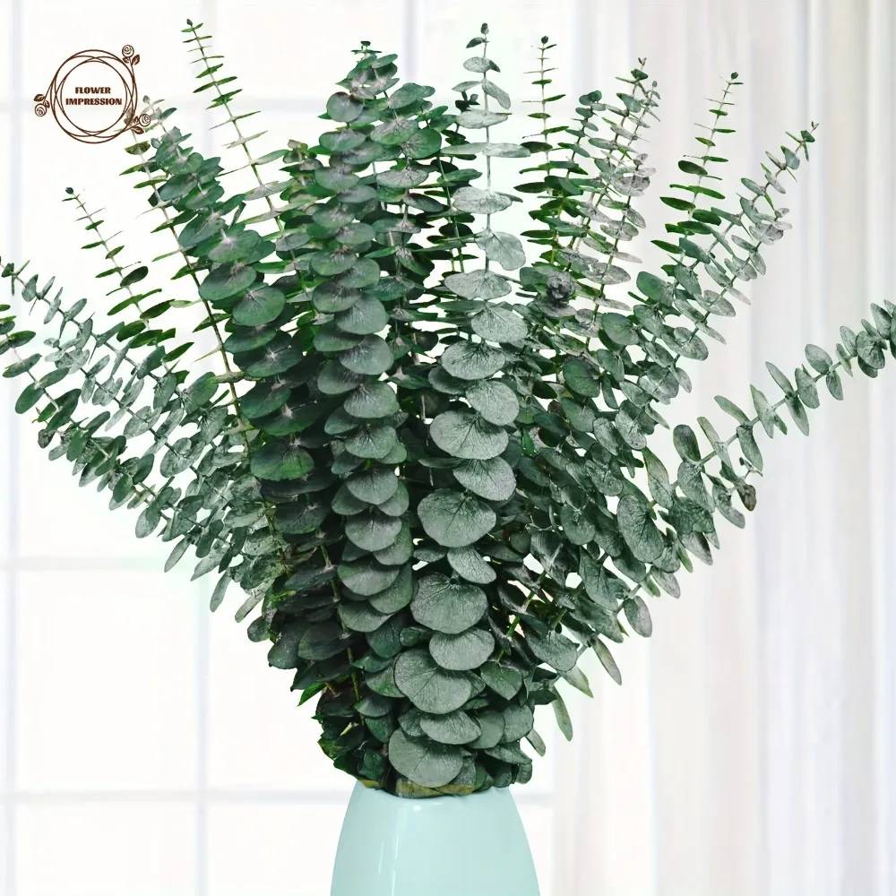 5/10/20 stücke künstlich getrocknete konservierte Eukalyptus blätter Zweige Duschen Hochzeits arrangements Eukalyptu Pflanzen Vase Wohnkultur – Detail 14