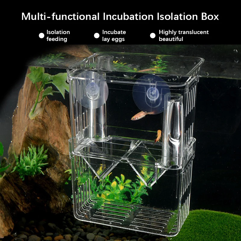 New Aquarium Peacock Fish Incubator Breeding Box Acrylic Isolation Box Tropical Hatchery Spawner Alec Tank Betta Fish Separate