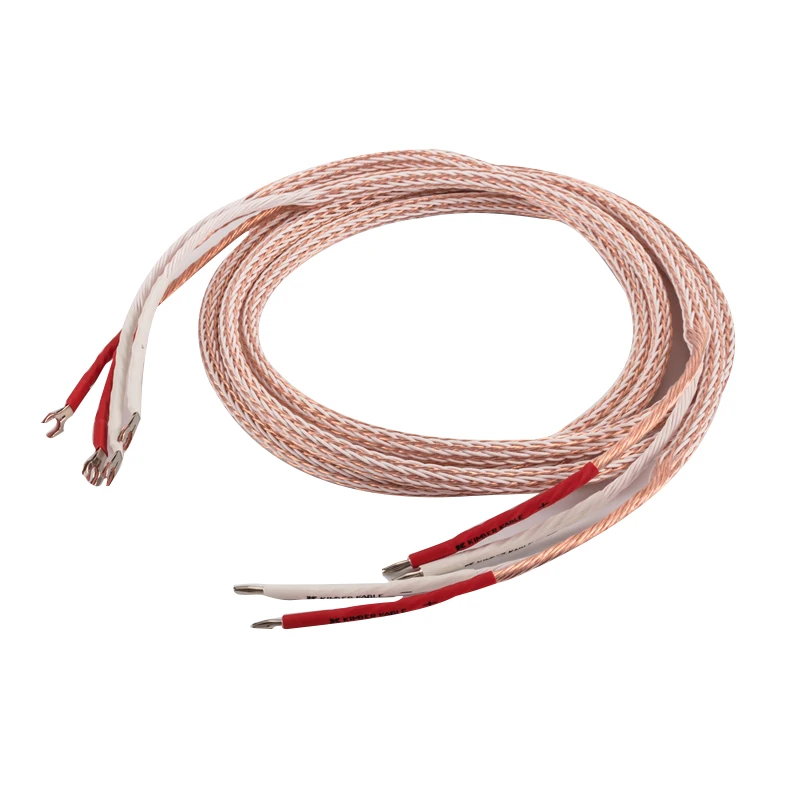 1 pair of 12TC speaker cables with banana plugs for amplifier and loudspeaker