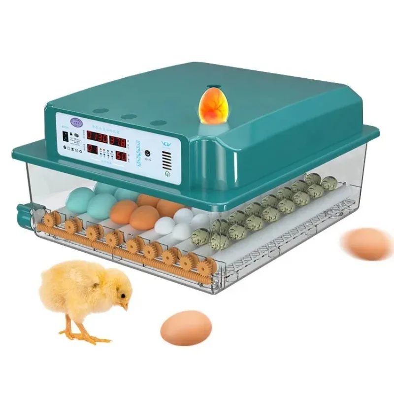Newest Mini Chicken s for 36 eggs Hatching Machine Full Automatic with Roller Tray