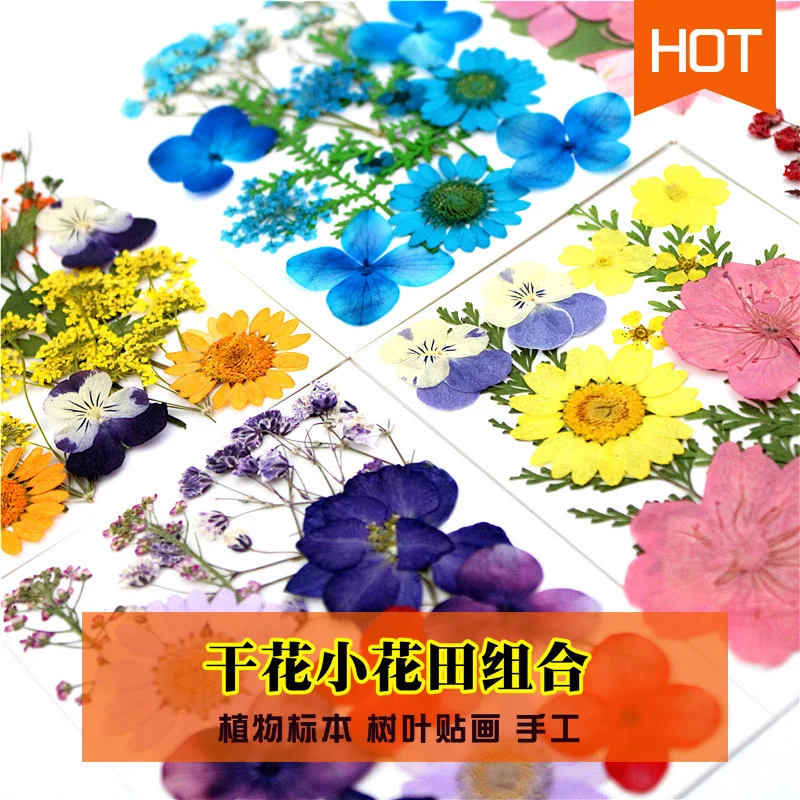 Pressed Flower material bag dried flowers embossed small flower field combination flower-pressing material bag leaf stickers