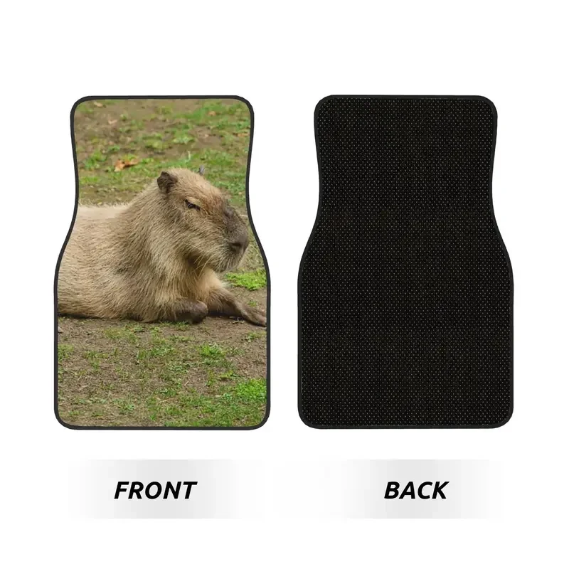 Crystal Velvet Car Floor Mats 4 Pcs Carpets Rugs Just Chilled Capybara Animal Pet Universal Car Front Rear Carpets Foot Mats