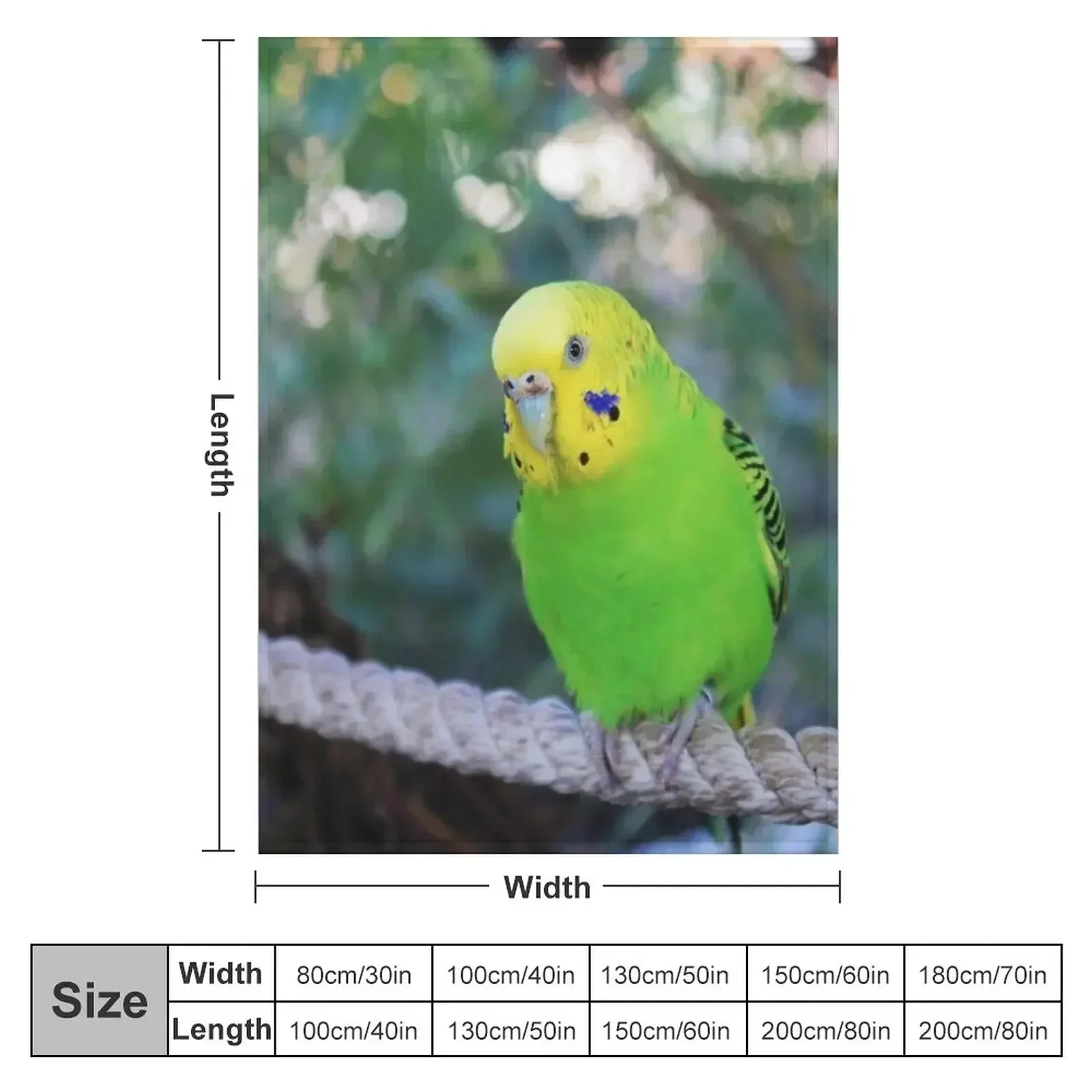 Budgie Throw Blanket Hair Thermals For Travel Quilt Softest Plaid decorative Blankets