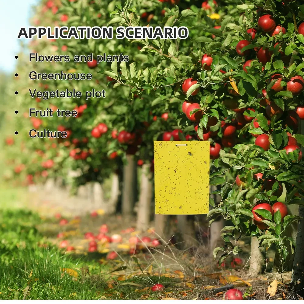 10 Teile/satz Obst Fliegen und Schleim Bord Insekten Fallen, Obst Obstgarten, Melone Garten, Bauernhof, Haushalt Insekten Fallen – Detail 5