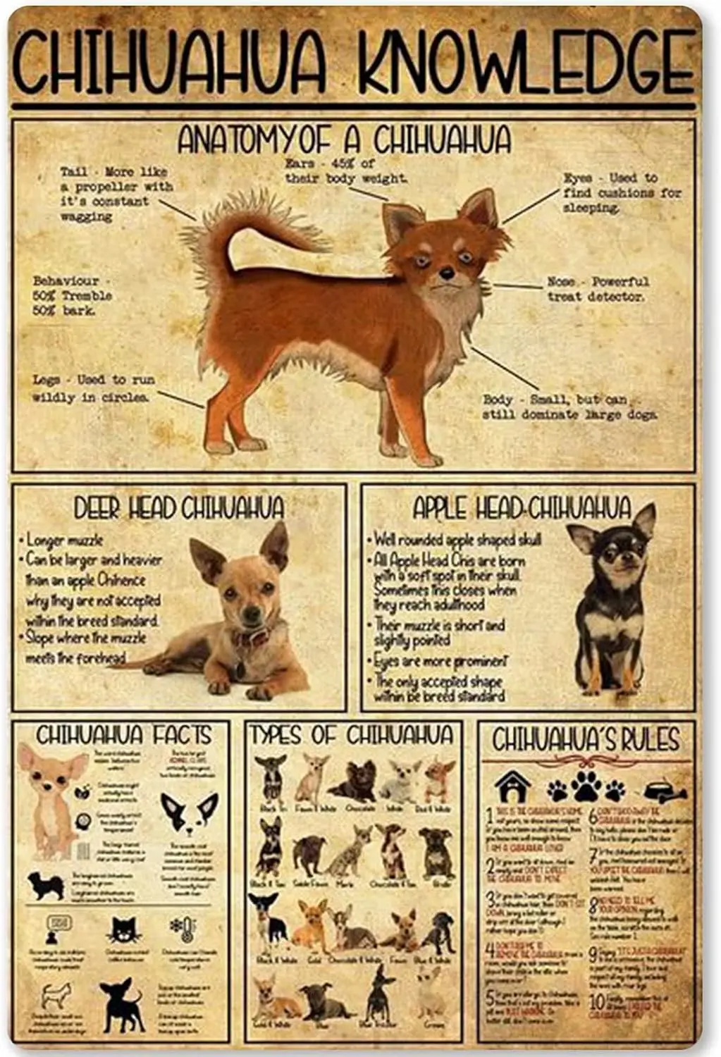 Plaque Murale Métallique Rétro Chihuahua : Affiche Éducative sur les Animaux pour Décoration Scolaire, Ferme, Maison, Cuisine - Infographie