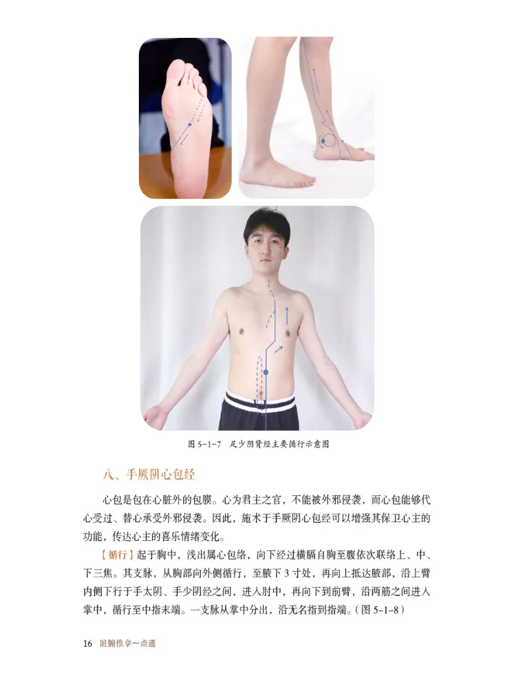 Book-Winshare A Quick Guide To Visceral Massage