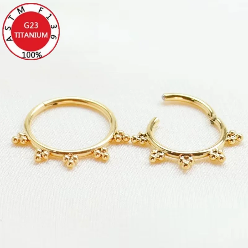 2/5Pcs 16G G23 Titanium Septum Clicker Nose Ring Hinged Segment Daith Cartilage Labret Piercing Unisex Gift Earrings Zircon