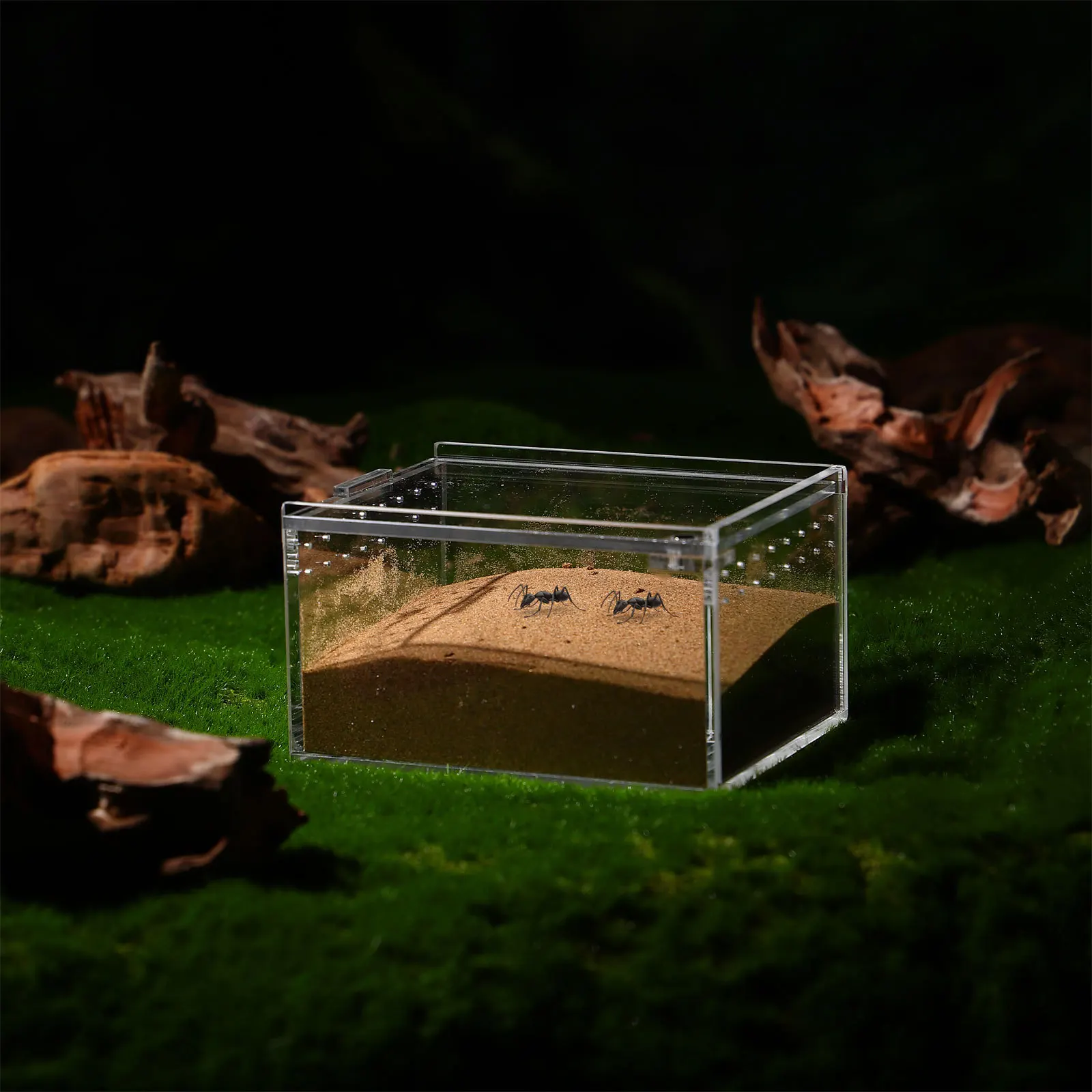 

7pcs Terrarium Spider Reptile Container for Jumping Spiders Habitat Terrariums