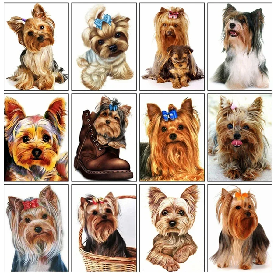 Diamond Embroidery Dog Animals Diamond Painting Full Square Drill DIY Creative Crystal Mosaic Rhinestone Art Home Decor