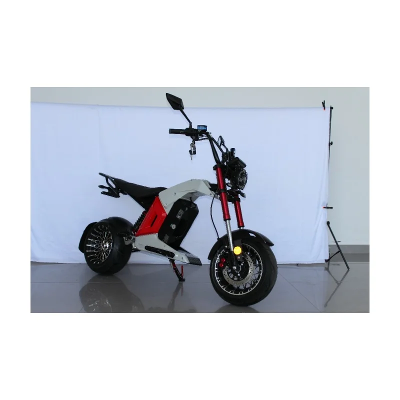 Retro Style 3000W Electric Motorcycle for Adults with Classic Design and Modern Features Electric Bike