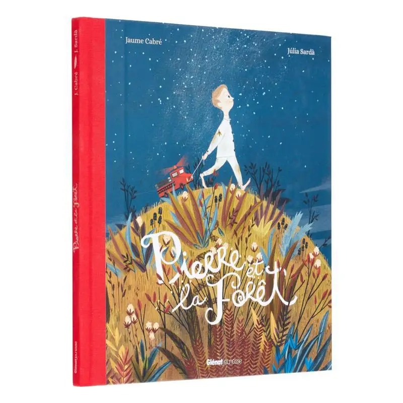 

Stone And The Forest Jaume Cabr Julia Sarda Glenat France 9782344059395 Book