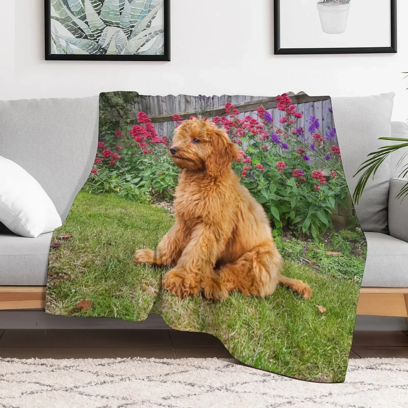 Red Cockapoo Puppy Throw Blanket christmas gifts wednesday Luxury Throw Sofa Throw Blankets