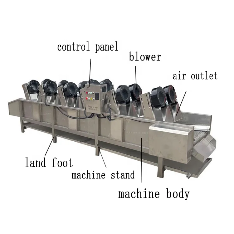 Industrial Complete Fresh Leaf Vegetable Processing Machine Line with Washing Drying Equipment fruit washing machine