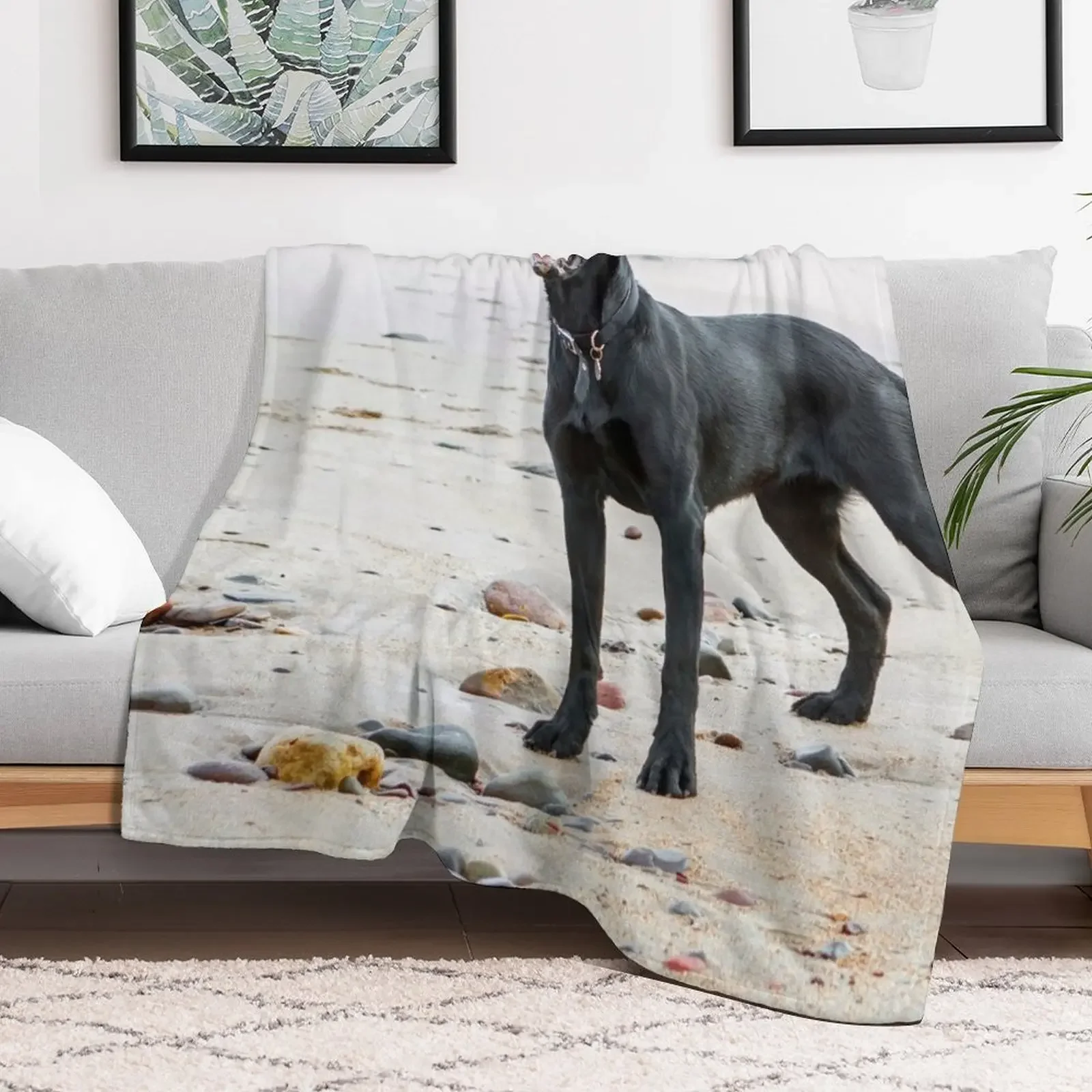 Black Labrador dog on the beach Throw Blanket Durable Warm Blanket for Daily Home Use