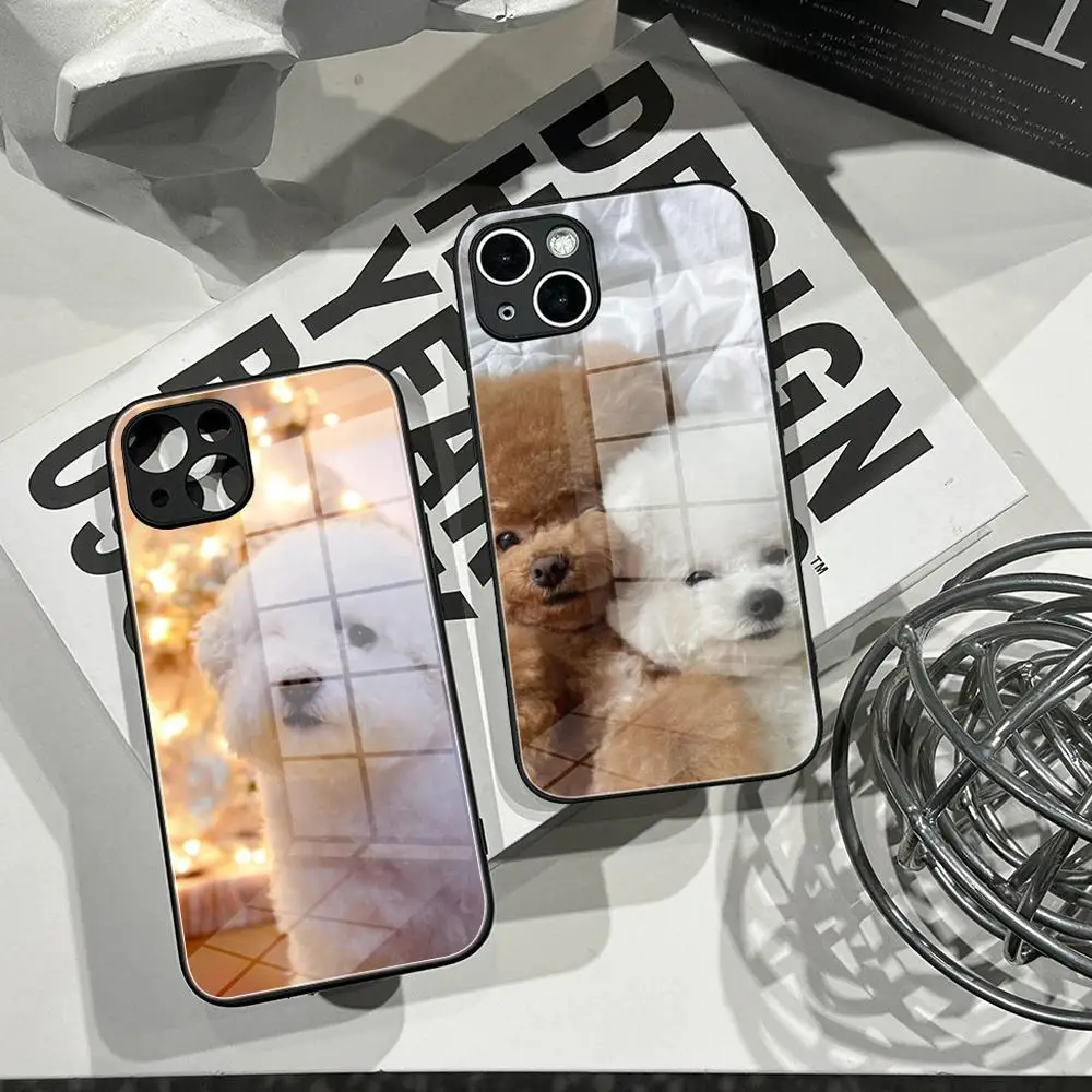 Fundas de Celular HD con Diseño de Bichón Frisé para iPhone 17 Air 16 15 14 12 13 11 Pro MAX Plus SE2020, Carcasa de Vidrio