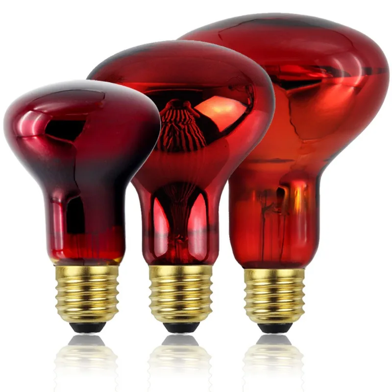 Pet Red Heating Lamp E27 Day Night For Amphibian Snake Lamp Heat Reptile Bulb UV Light 75W 60W 100W AC220-240V