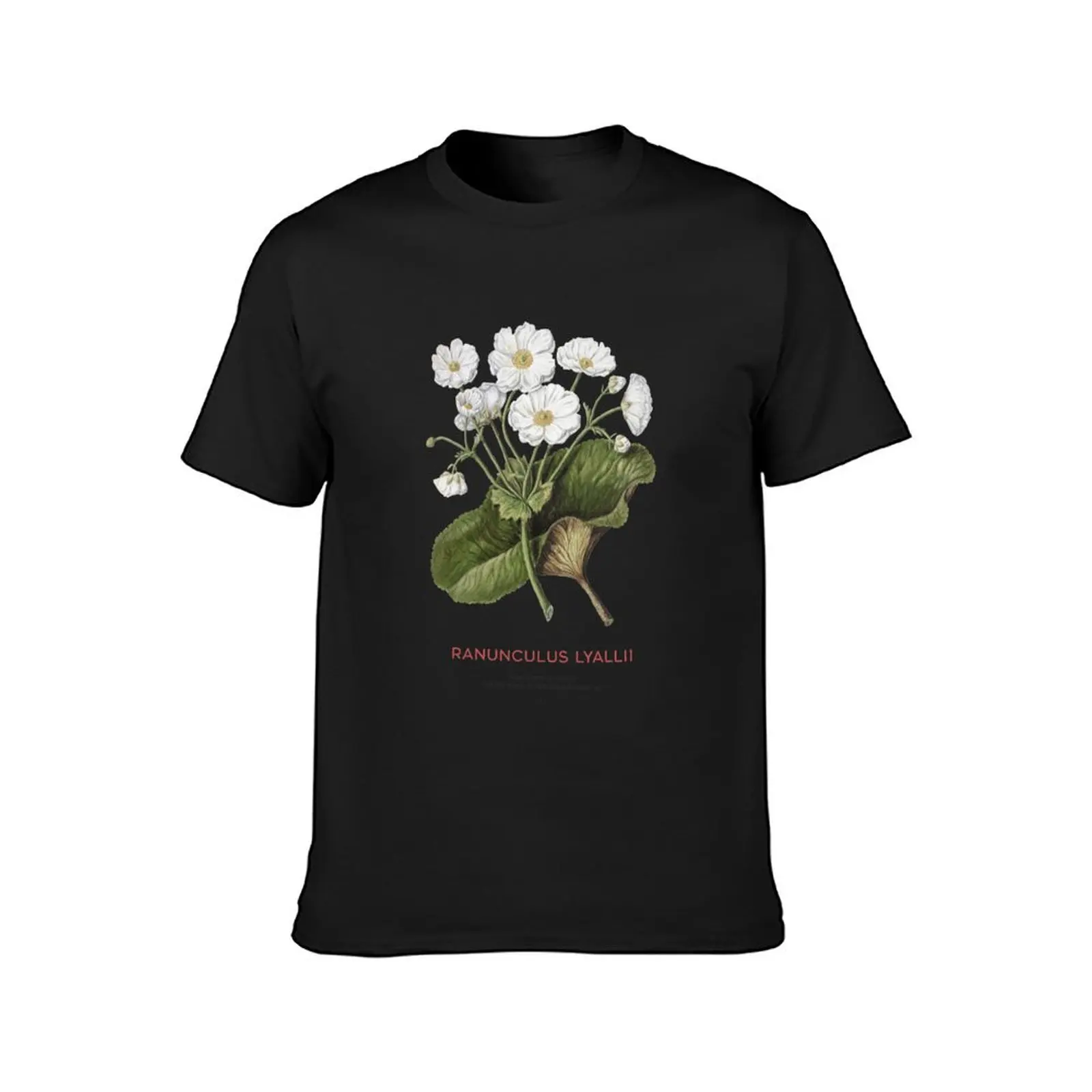 Mount Cook lily or Ranunculus lyallii T-Shirt kawaii clothes graphics aesthetic clothes Men's cotton t-shirt