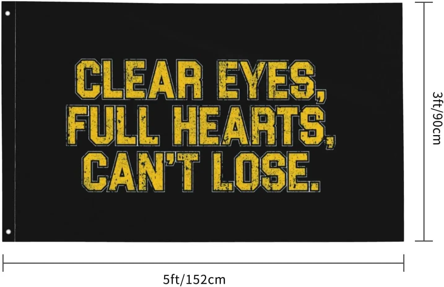 Flagicts 100% Polyester Clear Eyes, Full Hearts, Can'T Lose Flag