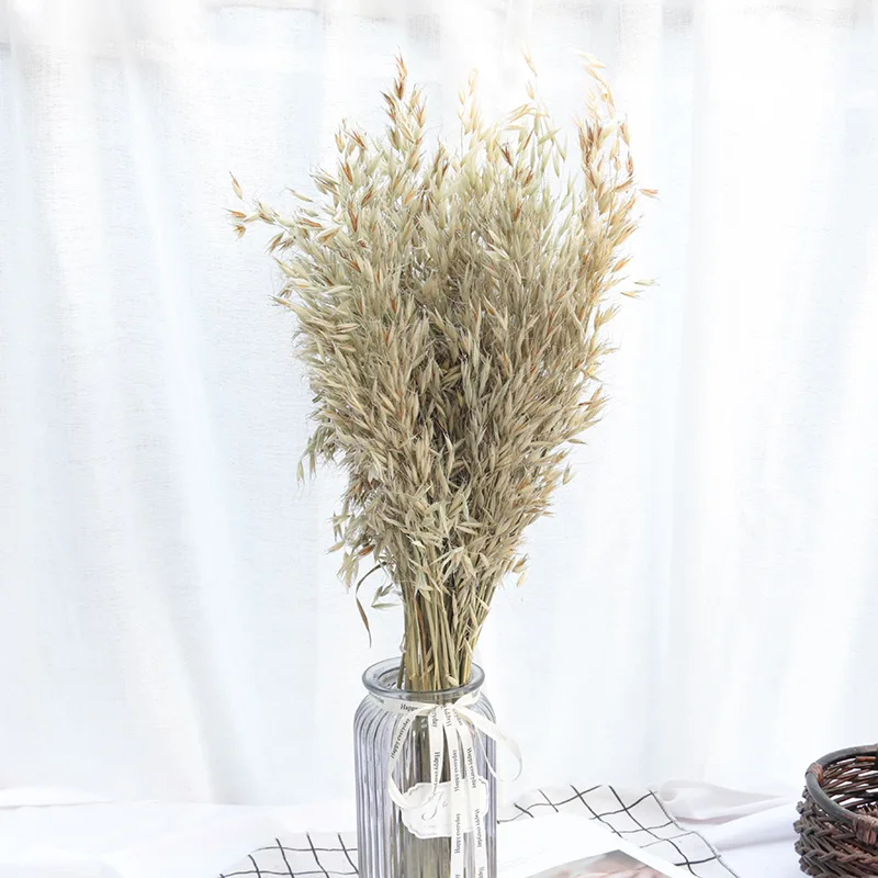 

30pcs Eternal Oat Grass Dried Flower New Arrivals In 2023 Colorful Natural Bouquet Plantas Artificiales Para Decor Reed Flores