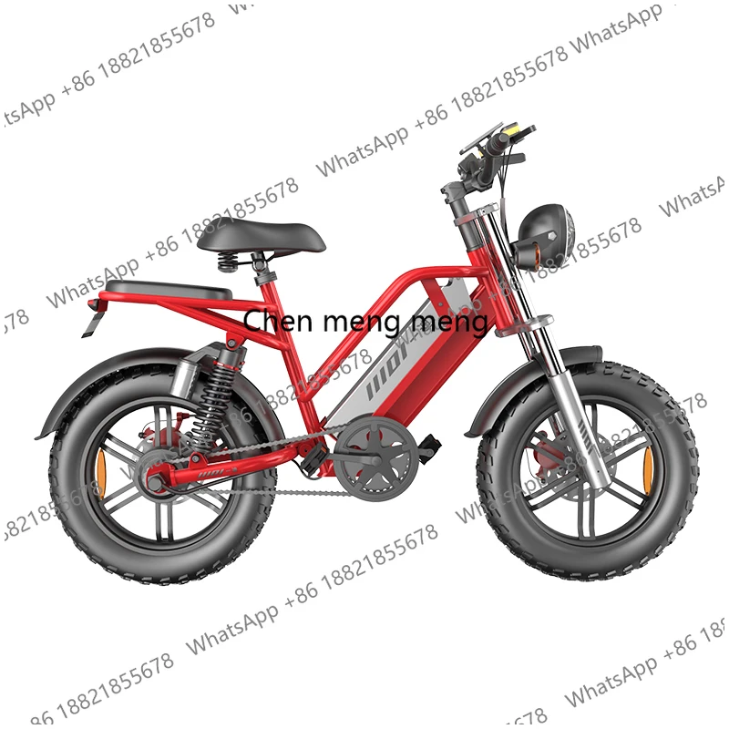 STLF 20Inch Wide Tire Fat Tire Full Suspension 750W Power Electric Motorcycle Cafe Racer Style City Electric  Moped