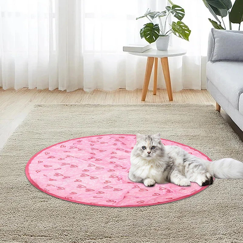 Cat Ball Hunting Exercise Mat Simulate Cat Interactive Hunting Toy Indoor Cat Exercise Mat Boredom Relief Cat Toy For Kittens