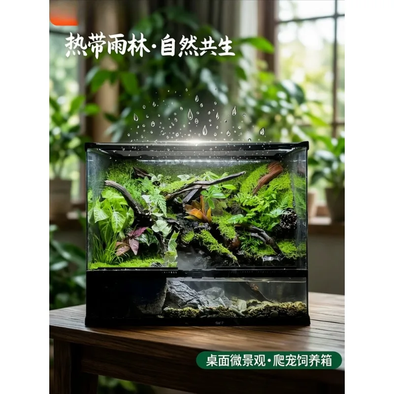 Plant landscaping climbing pet tank feeding box desktop micro landscape forest finished ornament