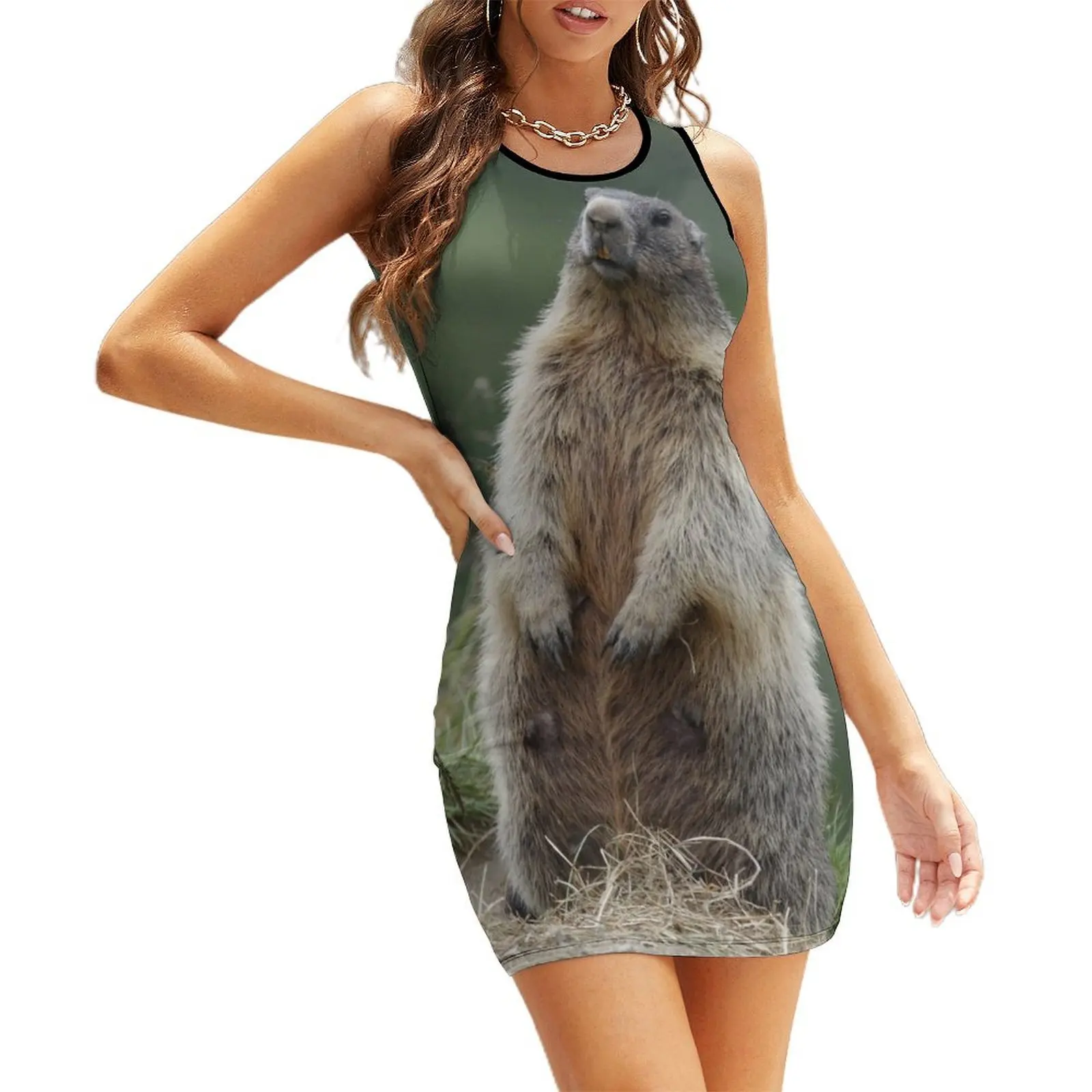 

Marmota marmota Sleeveless Sundress summer women's suit summer dress daily Women's summer dress dresses for official occasions